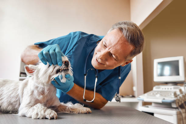 Best Emergency Root Canal Treatment in Cliffside Park, NJ